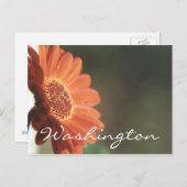 Washington Briefkaart Oranje Sjabloon Bloem (Voorkant / Achterkant)
