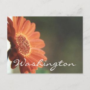 Washington Briefkaart Oranje Sjabloon Bloem