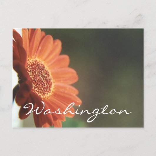 Washington Briefkaart Oranje Sjabloon Bloem (Voorkant)