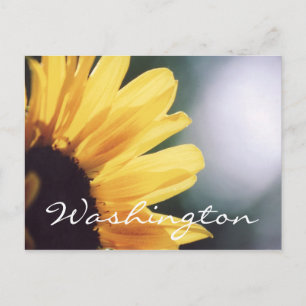 Washington Briefkaart Sunflower Sjabloon