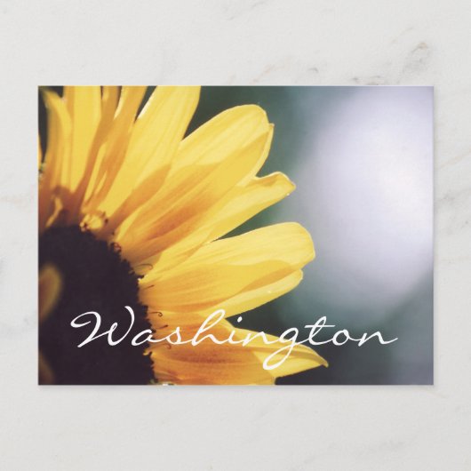 Washington Briefkaart Sunflower Sjabloon (Voorkant)