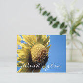 Washington Briefkaart Sunflower Sjabloon (Staand voorkant)