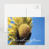Washington Briefkaart Sunflower Sjabloon (Voorkant / Achterkant)