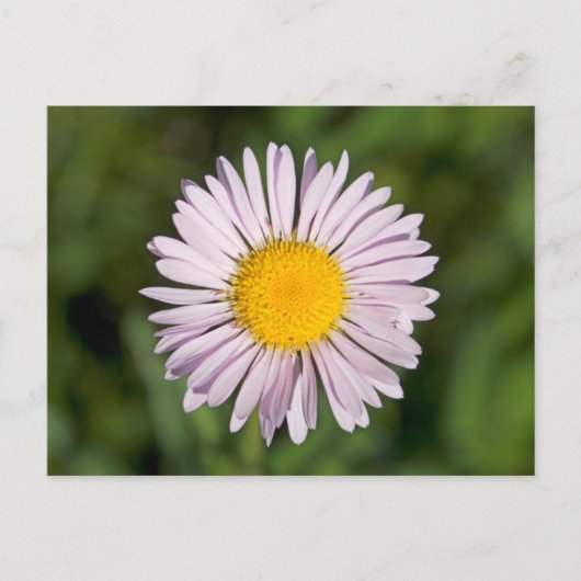 Washington, Cascade Range, Mount Baker Briefkaart (Voorkant)