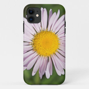 Washington, Cascade Range, Mount Baker Case-Mate iPhone Case