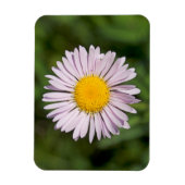 Washington, Cascade Range, Mount Baker Magneet (Verticaal)