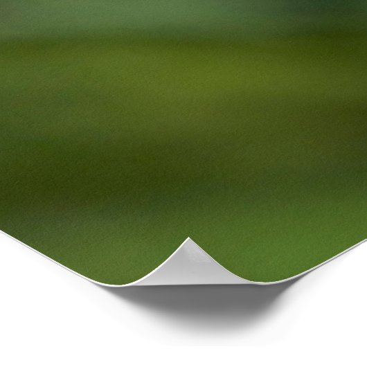 Washington, Cascade Range, Mount Baker Poster (Hoek)