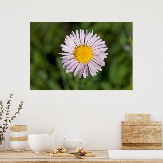 Washington, Cascade Range, Mount Baker Poster (Keuken)