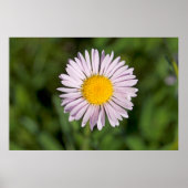 Washington, Cascade Range, Mount Baker Poster (Voorkant)