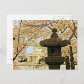 Washington Cherry Blossoms Briefkaart (Voorkant / Achterkant)