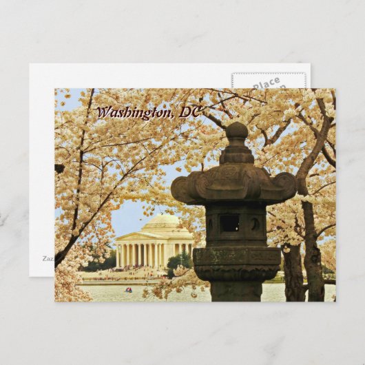 Washington Cherry Blossoms Briefkaart (Voorkant / Achterkant)