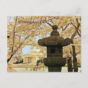 Washington Cherry Blossoms Briefkaart