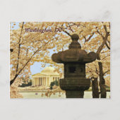 Washington Cherry Blossoms Briefkaart (Voorkant)