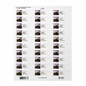 Washington Crossing Delaware Art Etiket (Full Sheet)