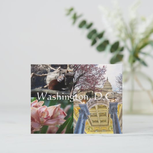 Washington D.C. Briefkaart (Staand voorkant)