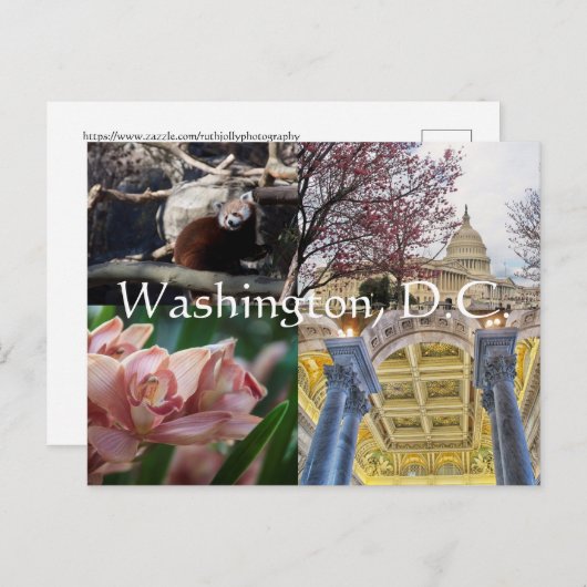 Washington D.C. Briefkaart (Voorkant / Achterkant)
