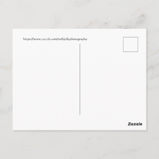 Washington D.C. Briefkaart (Achterkant)