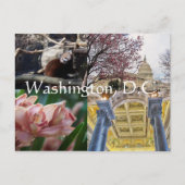 Washington D.C. Briefkaart (Voorkant)