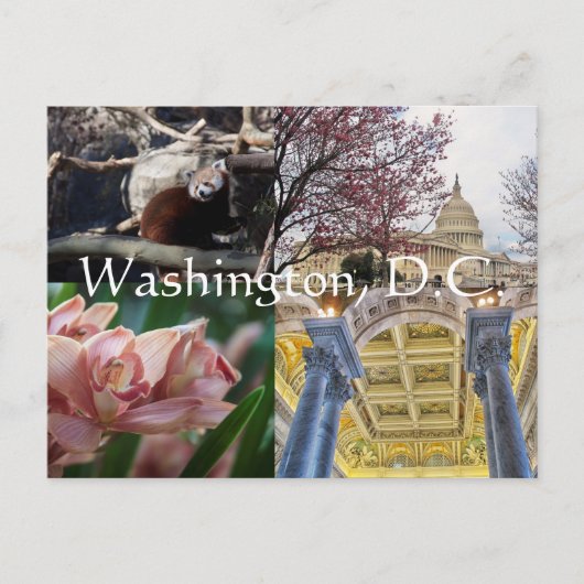 Washington D.C. Briefkaart (Voorkant)