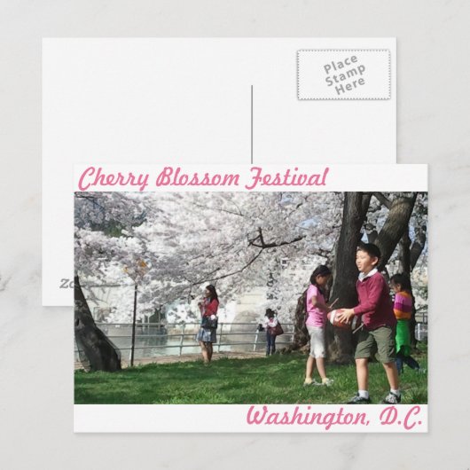 Washington D.C. Cherry Blossom briefkaart (Voorkant / Achterkant)
