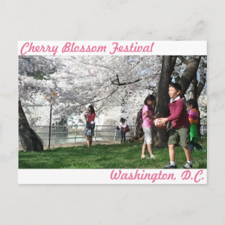 Washington D.C. Cherry Blossom briefkaart