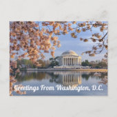 Washington D.C. Jefferson Memorial Briefkaart (Voorkant)