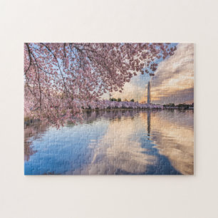 Washington D.C. Kersenbloesem Legpuzzel