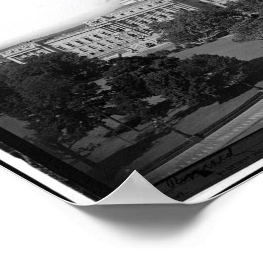 Washington D.C., Library of Congress Poster (Hoek)