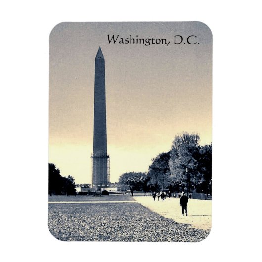 Washington D.C. Magneet (Verticaal)