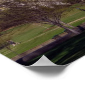 Washington D.C. Poster (Hoek)