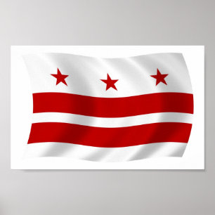 Washington D.C. Vlag Poster Print