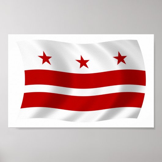 Washington D.C. Vlag Poster Print (Voorkant)