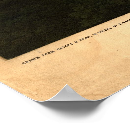 Washington DC 1857 Antiek Panorama Poster (Hoek)