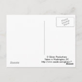 Washington, DC-Briefkaart Briefkaart (Achterkant)