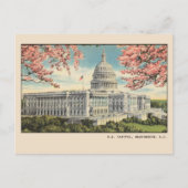 Washington DC Briefkaart US Capitol Cherry Blossom (Voorkant)