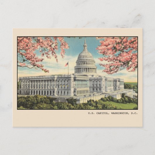 Washington DC Briefkaart US Capitol Cherry Blossom (Voorkant)