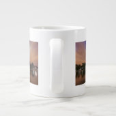 Washington DC, Capitol Building Grote Koffiekop (Achterkant)