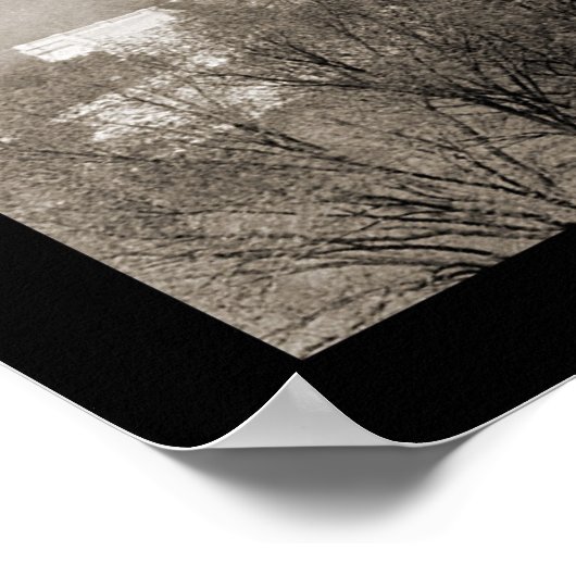 Washington DC Capitol Foto 1906 Poster (Hoek)