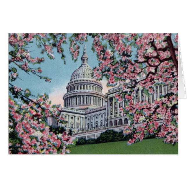 Washington DC Capitol Hill Cherry Blossom (Voorkant Horizontaal)