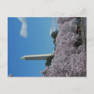 Washington DC Cherry Blossom 2 Briefkaart