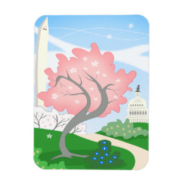 Washington DC Cherry Blossom in Bloom Magneet