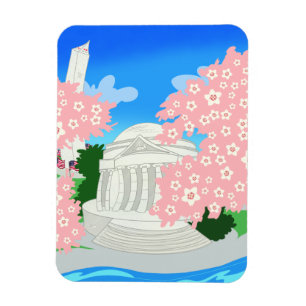 Washington DC Cherry Blossom Magnet Magneet