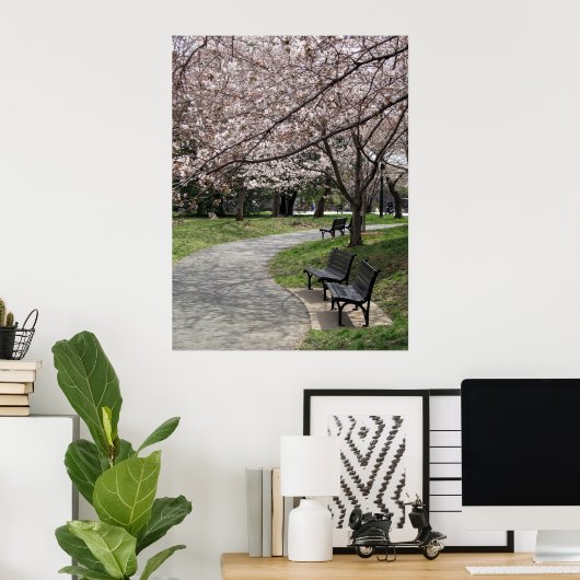washington dc cherry blossom poster (Thuiskantoor)