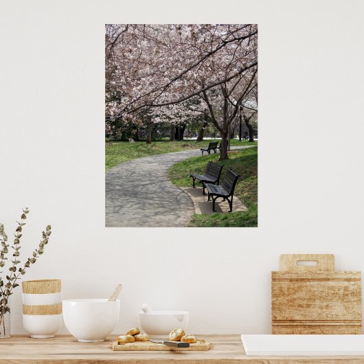 washington dc cherry blossom poster (Keuken)