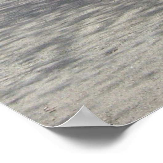 washington dc cherry blossom poster (Hoek)