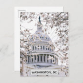 Washington DC Cherry Blossom Travel Foto Briefkaart (Voorkant / Achterkant)