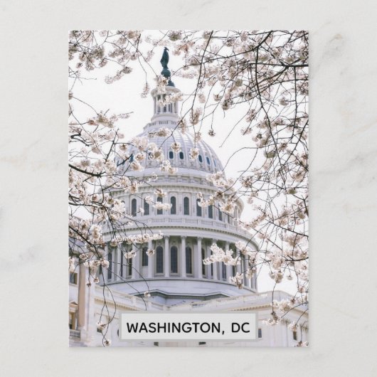 Washington DC Cherry Blossom Travel Foto Briefkaart (Voorkant)