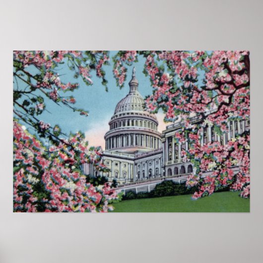 Washington DC Congress Capitol Hill Cherry Blossom Poster (Voorkant)