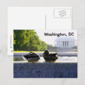 Washington, DC: Ducks bij het WWII Memorial Briefkaart (Voorkant / Achterkant)