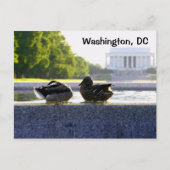 Washington, DC: Ducks bij het WWII Memorial Briefkaart (Voorkant)